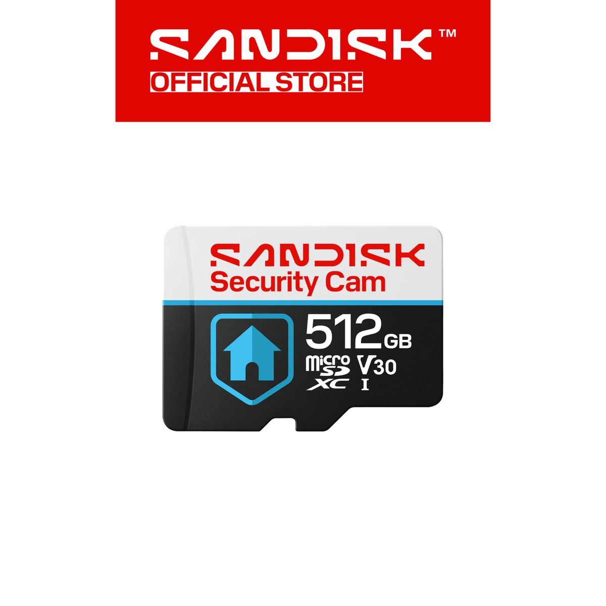 SANDISK CCTV Security Cam microSDHC / SDXC Card