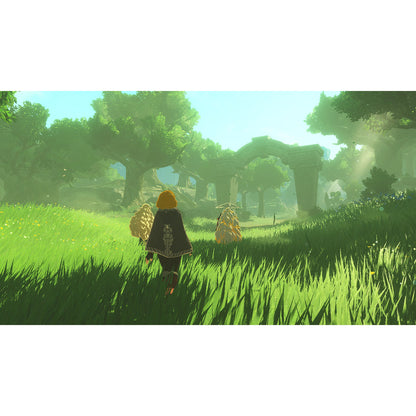 Hyrule Warriors: Age of Imprisonment – Nintendo Switch 2