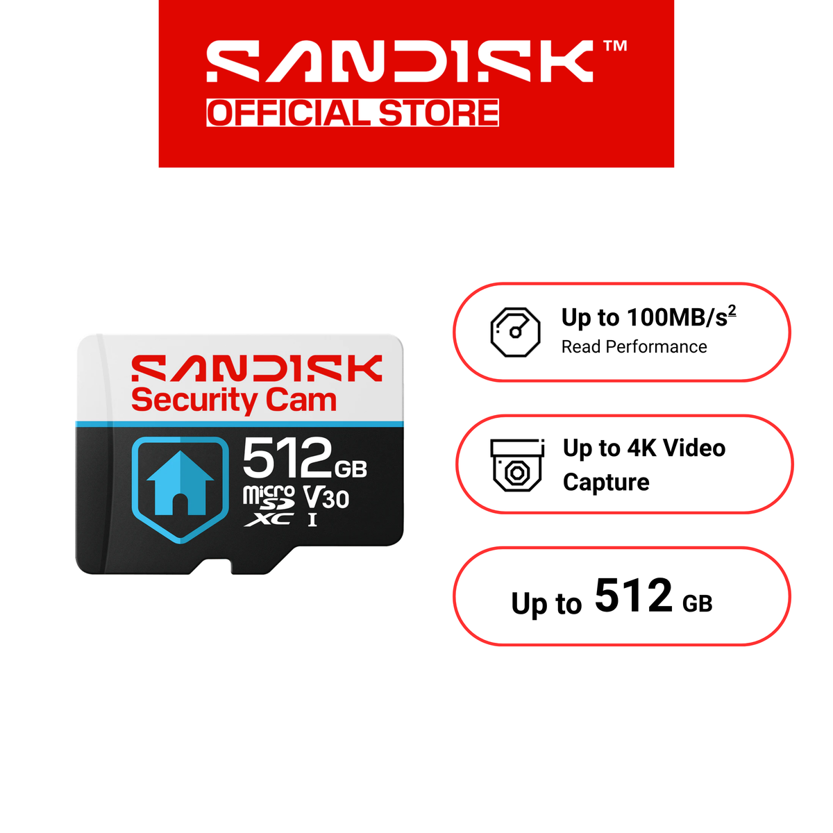 SANDISK CCTV Security Cam microSDHC / SDXC Card